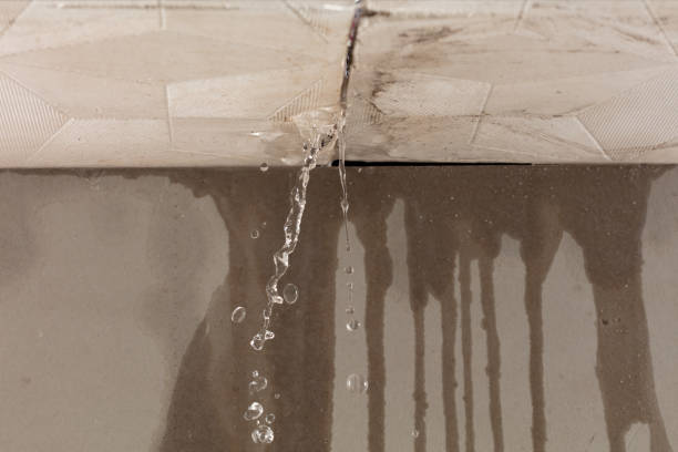 Professional Water Damage Repair technician working in Waterloo, AL